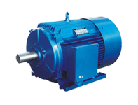  TYQ Series Motors